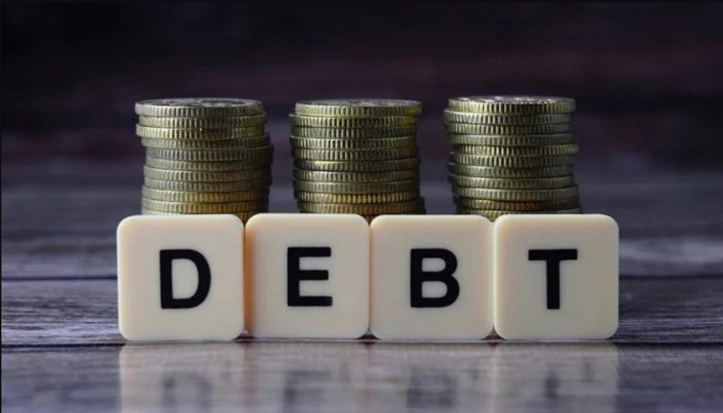 role of debt